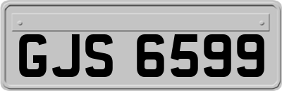 GJS6599