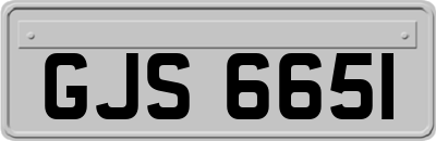 GJS6651