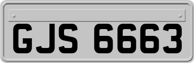 GJS6663