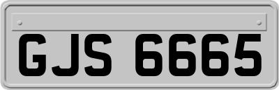 GJS6665