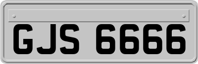 GJS6666