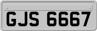 GJS6667