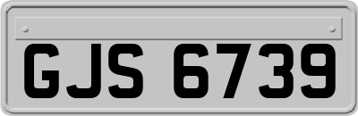 GJS6739
