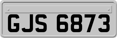 GJS6873