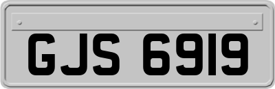 GJS6919