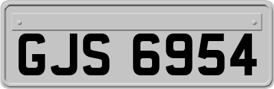 GJS6954