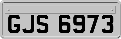 GJS6973