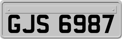 GJS6987