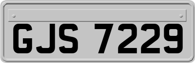 GJS7229