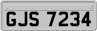 GJS7234