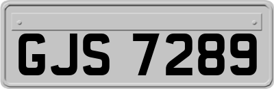 GJS7289