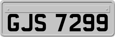 GJS7299