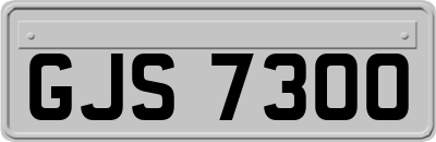 GJS7300