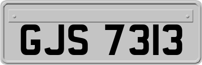 GJS7313