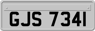 GJS7341