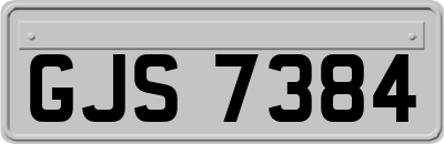 GJS7384