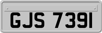 GJS7391