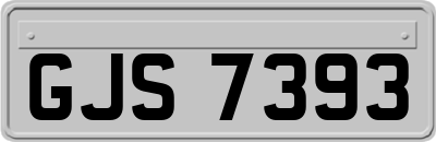GJS7393