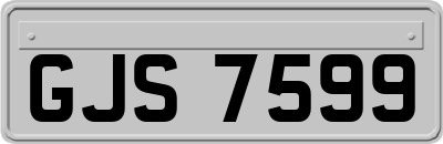 GJS7599