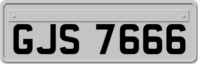 GJS7666