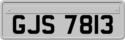GJS7813