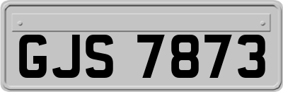 GJS7873