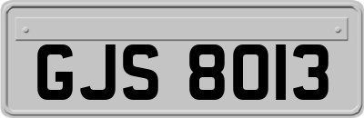GJS8013