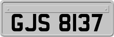 GJS8137