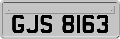 GJS8163