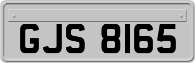 GJS8165