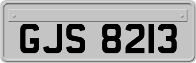 GJS8213