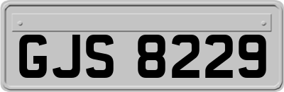 GJS8229