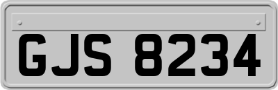GJS8234