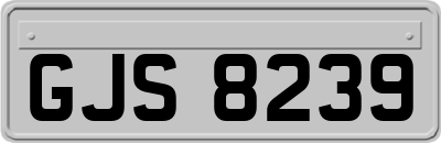 GJS8239
