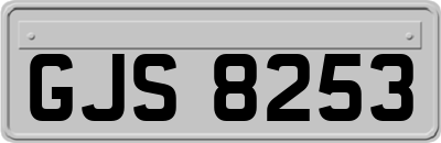 GJS8253