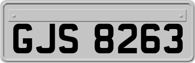 GJS8263