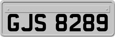 GJS8289