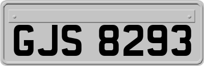 GJS8293