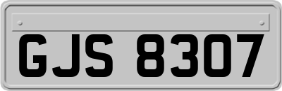 GJS8307