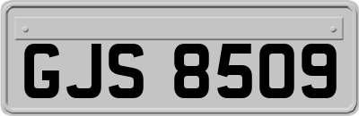 GJS8509