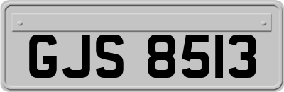 GJS8513