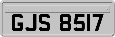 GJS8517
