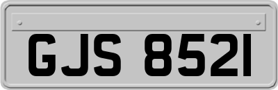GJS8521