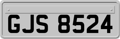 GJS8524