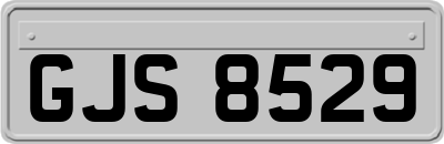GJS8529