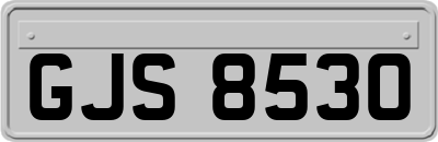GJS8530