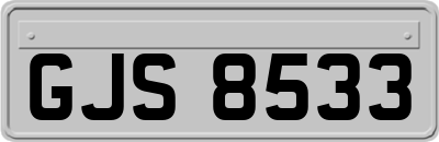 GJS8533