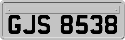 GJS8538