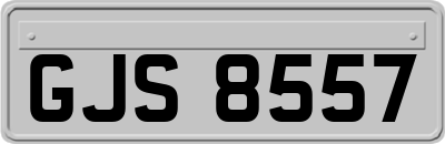GJS8557