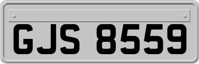 GJS8559